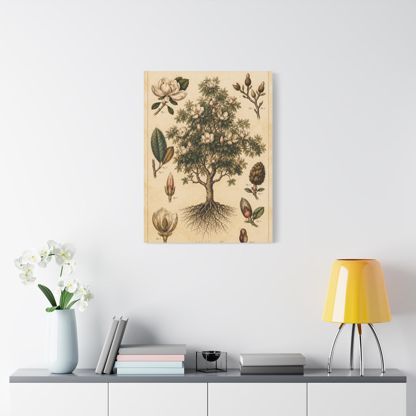 Vintage Magnolia Botanical Study Trees Wall Art & Canvas Print