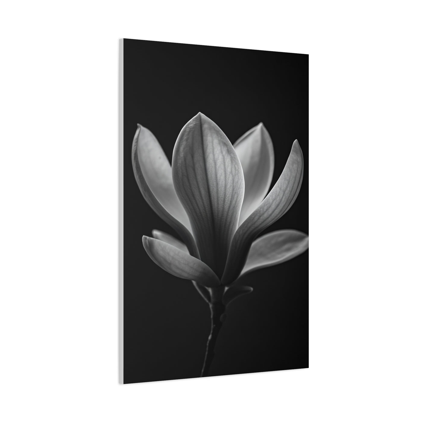 Magnolia Blossom Serenity Monochrome Wall Art & Canvas Prints