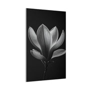 Magnolia Blossom Serenity Monochrome Wall Art & Canvas Prints