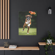 Copy of Copy of Copy of Copy of Copy of Copy of Copy of Copy of Copy of Copy of Copy of Copy of Copy of Copy of Copy of Copy of Copy of Copy of Copy of Copy of Copy of Copy of Matte Canvas, Stretched...