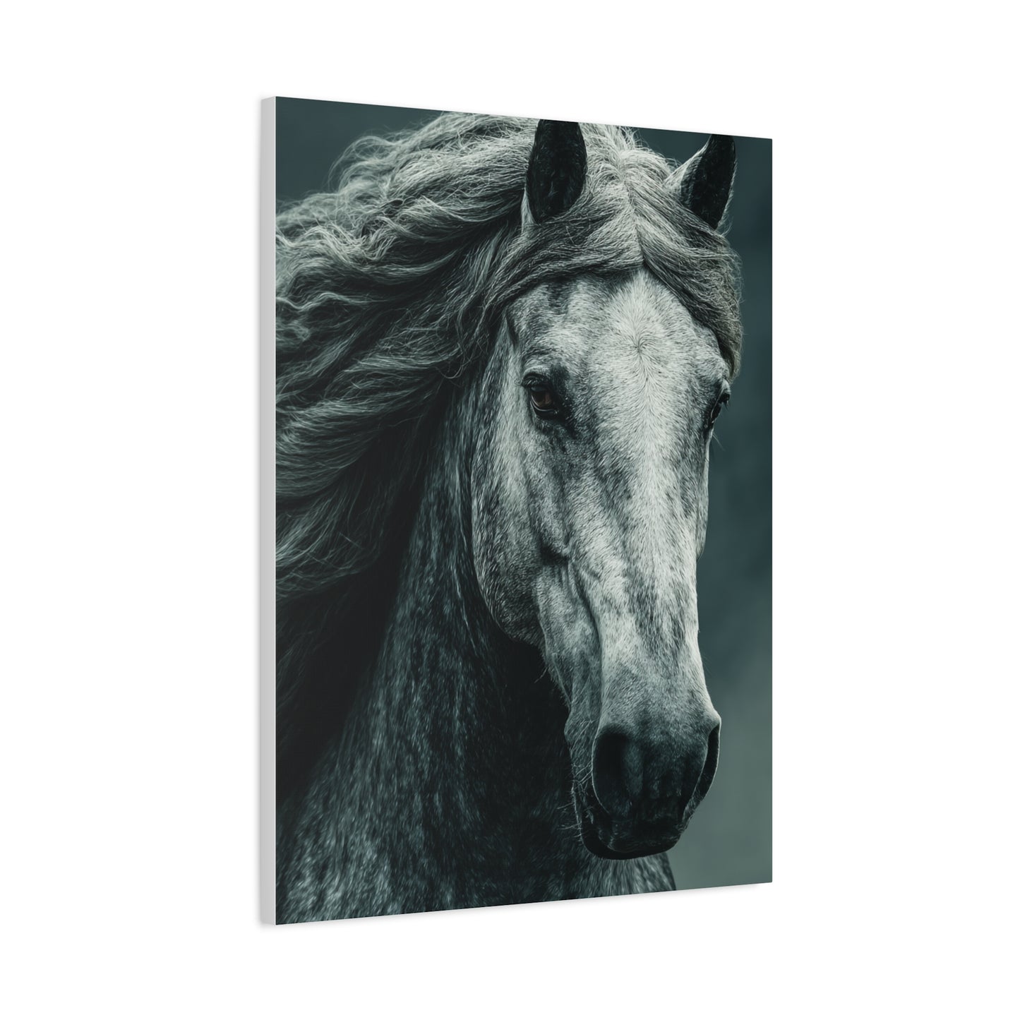 Silver Horse Portrait Wall Art & Canvas Print