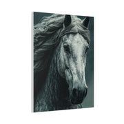 Silver Horse Portrait Wall Art & Canvas Print