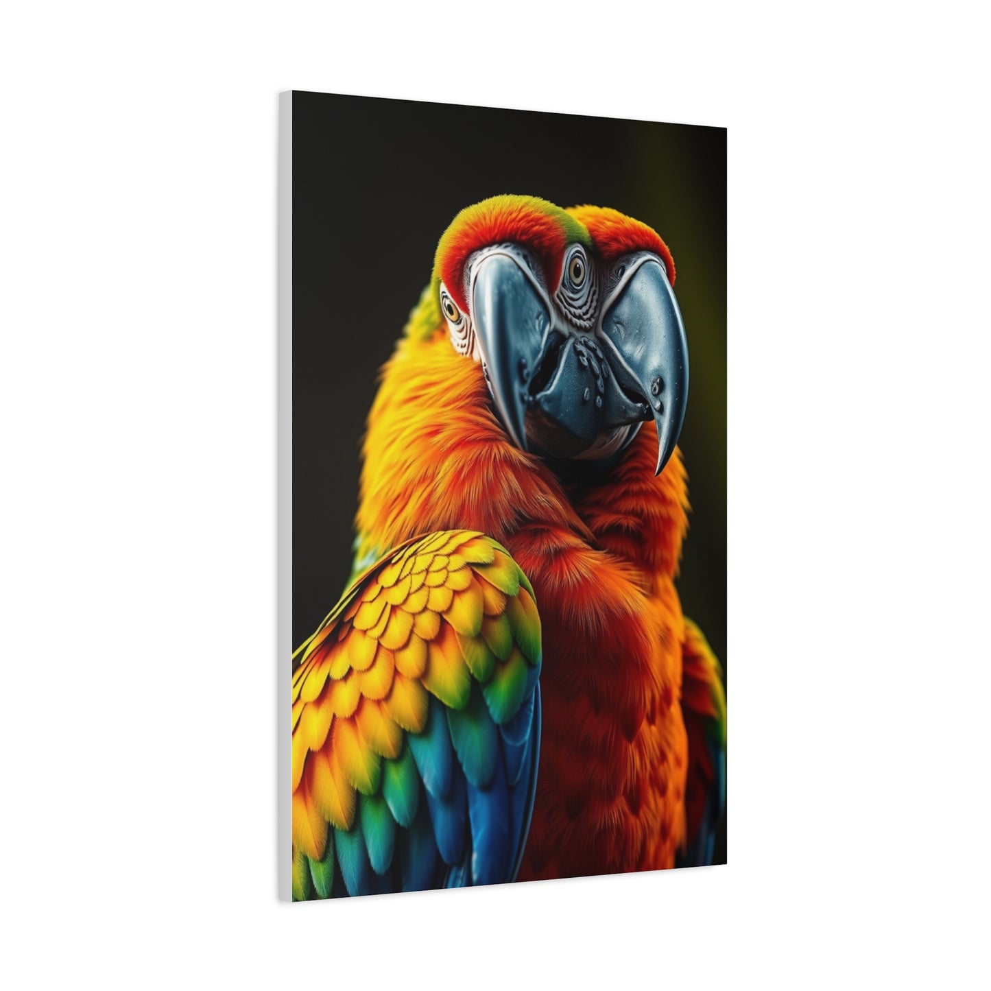 Supreme Parrot Art Beautiful Collection Wall Art & Canvas Print