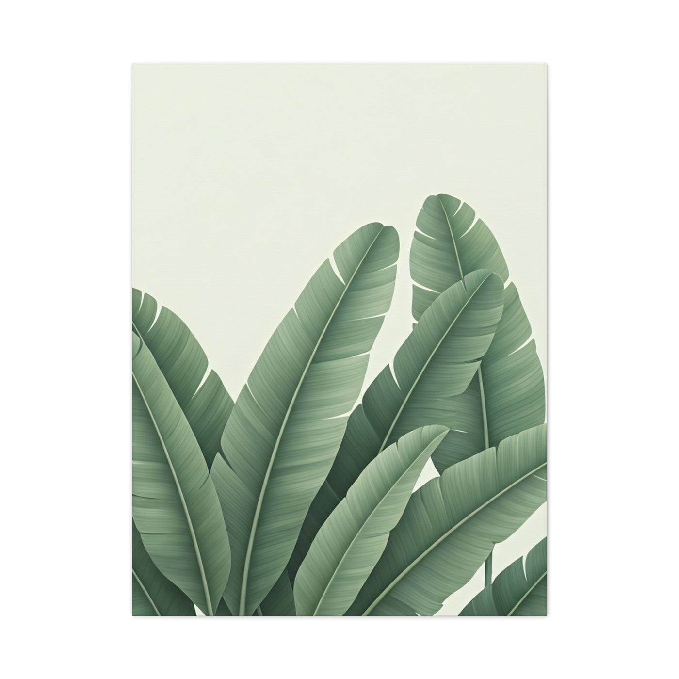 Tropical Banana Leaves Minimal Botanical Wall Art & Canvas Prints