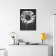 Bold Daisy Contrast Portrait Wall Art & Canvas Prints