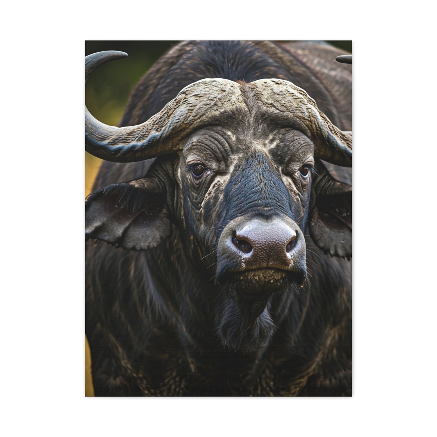 Mud-Covered Water Buffalo Close-Up Wall Art & Canvas Print