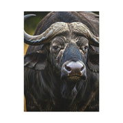 Mud-Covered Water Buffalo Close-Up Wall Art & Canvas Print
