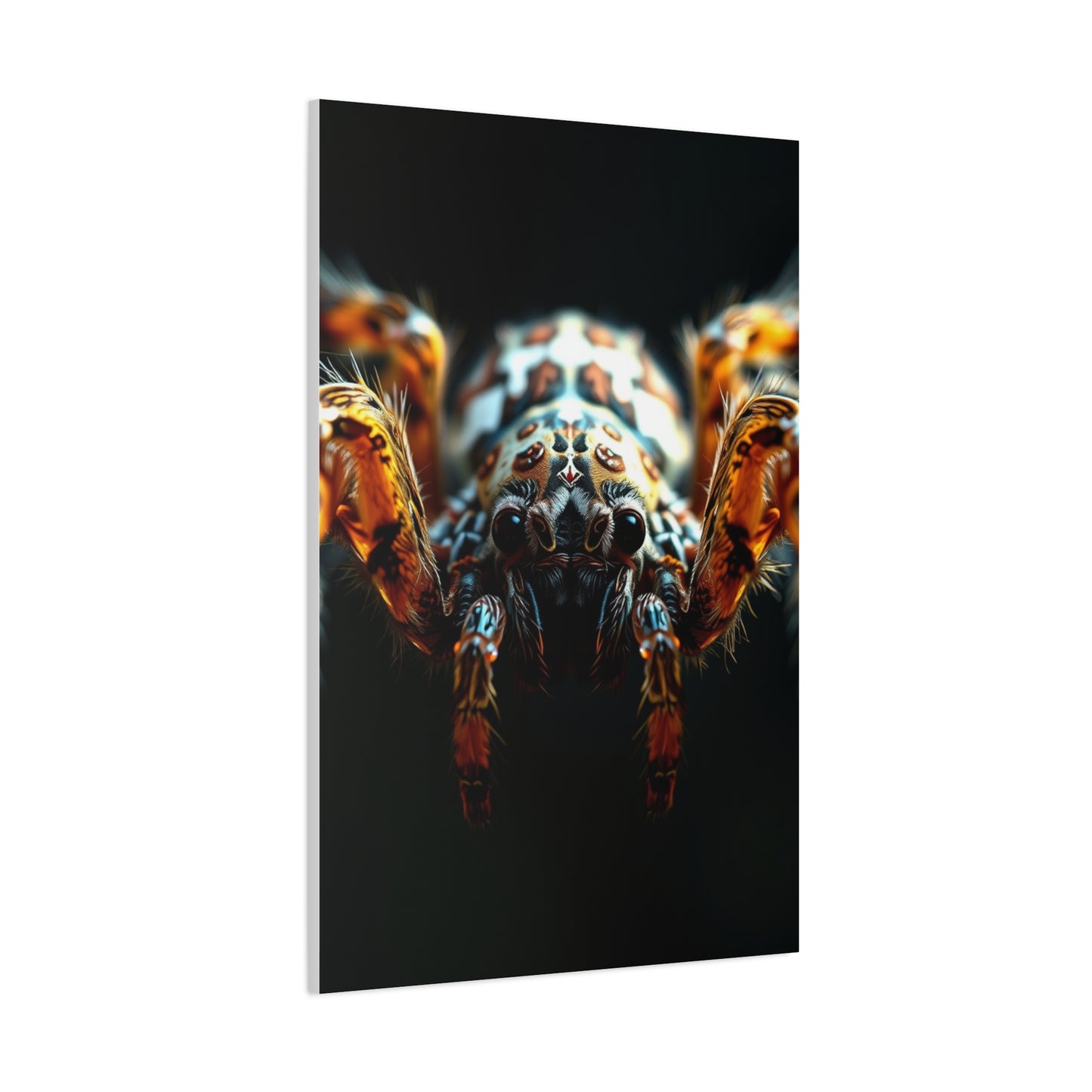 Arachnid Elegance Canvas Wall Art & Canvas Print