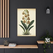 Vintage Wildflower Study Wall Art & Canvas Prints