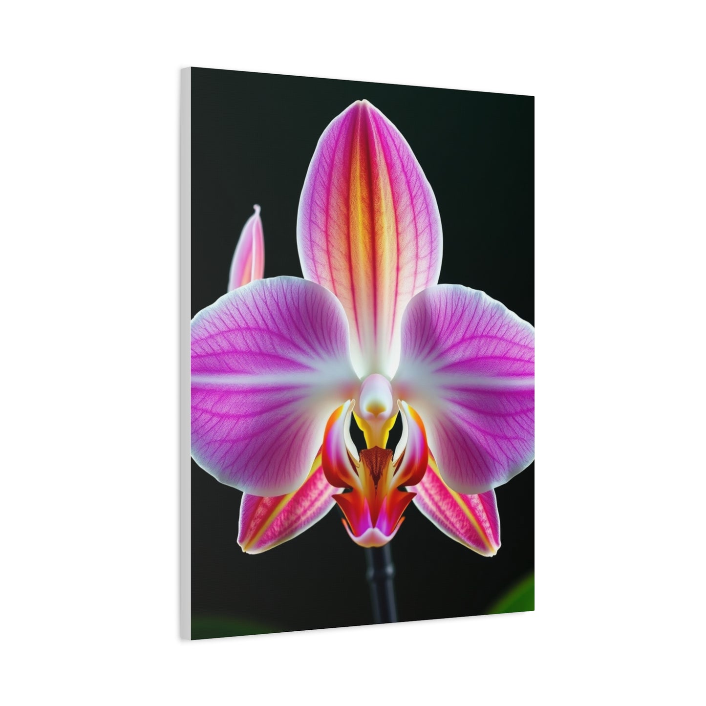 Orchid Flower Art Supreme Canvas Wall Art & Canvas Print