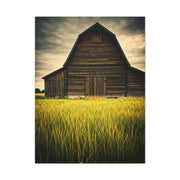 Weathered Barn in Tall Green Fields Wall Art & Canvas Prints