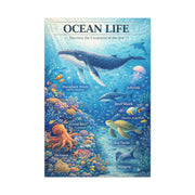 Ocean Life Educational Diagram – Wall Art & Canvas Print