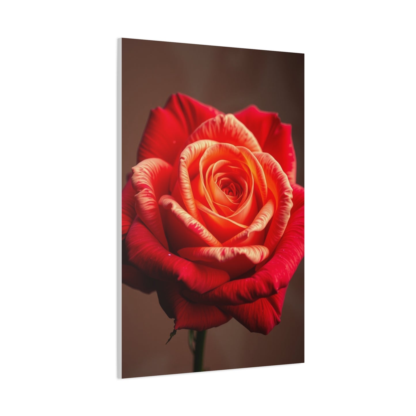 Supreme Rose Flower Art Beautiful Collection Wall Art & Canvas Print