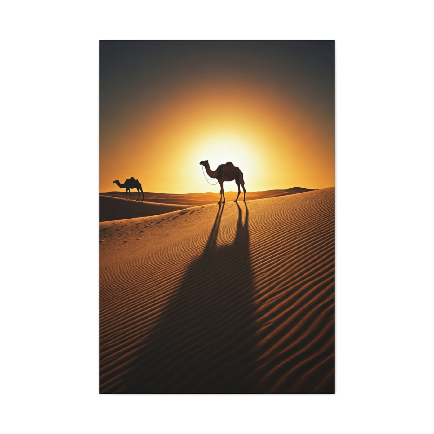 Lone Ostrich in Desert Sunset Wall Art & Canvas Prints