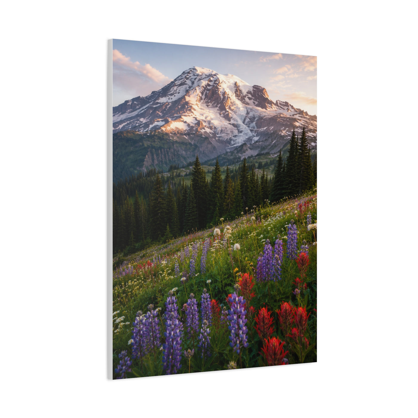 Mount Rainier Wildflower Meadow Wall Art & Canvas Print