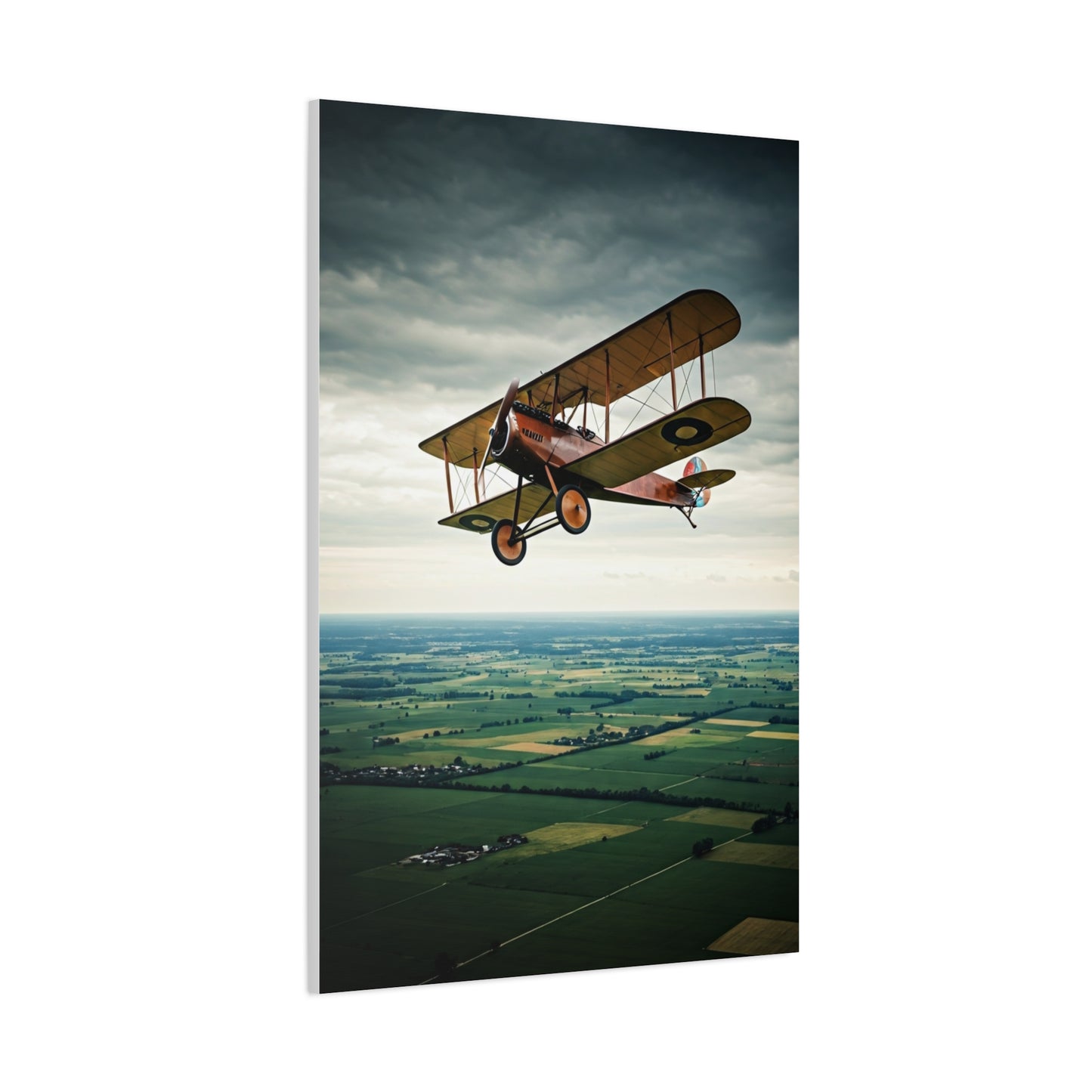Classic Biplane Sky Journey Wall Art & Canvas Prints