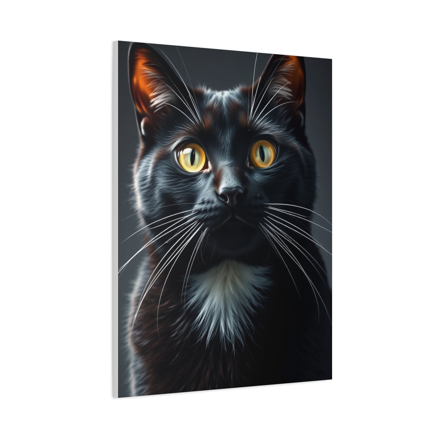 Supreme Tuxedo Cat Art Beautiful Collection Wall Art & Canvas Print