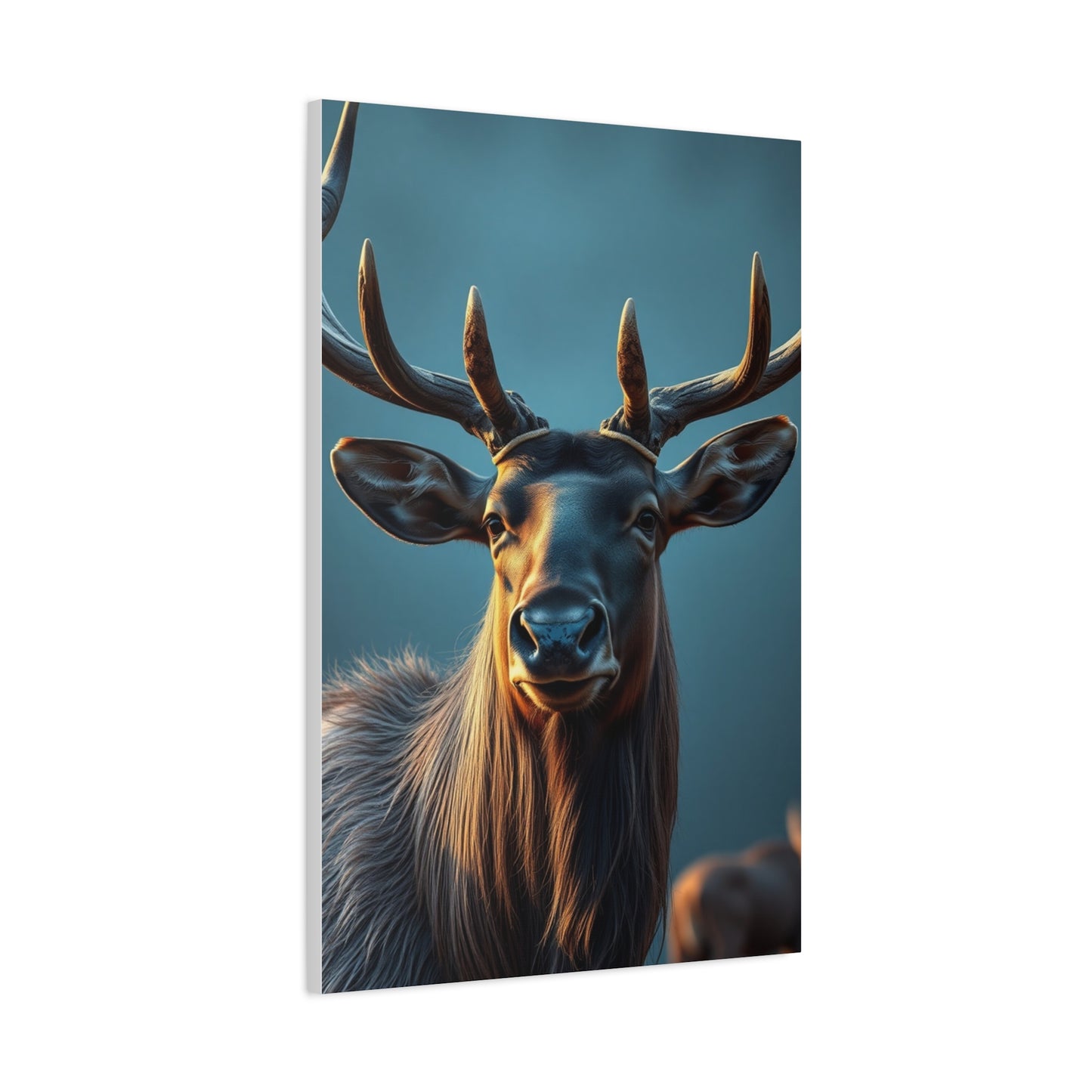 Sovereign Elk Elegance