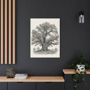 Detailed Engraved Oak Study Trees Wall Art & Canvas Print