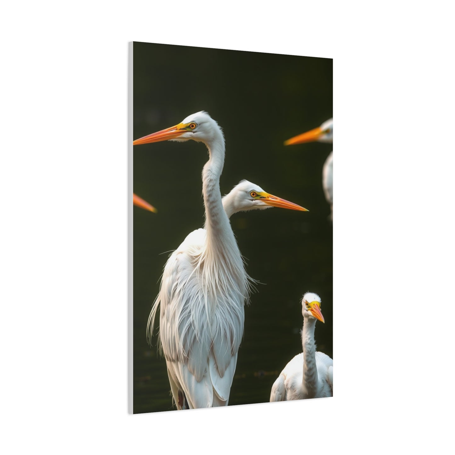 Masterpiece Herons and Egrets Art Vision Wall Art & Canvas Print