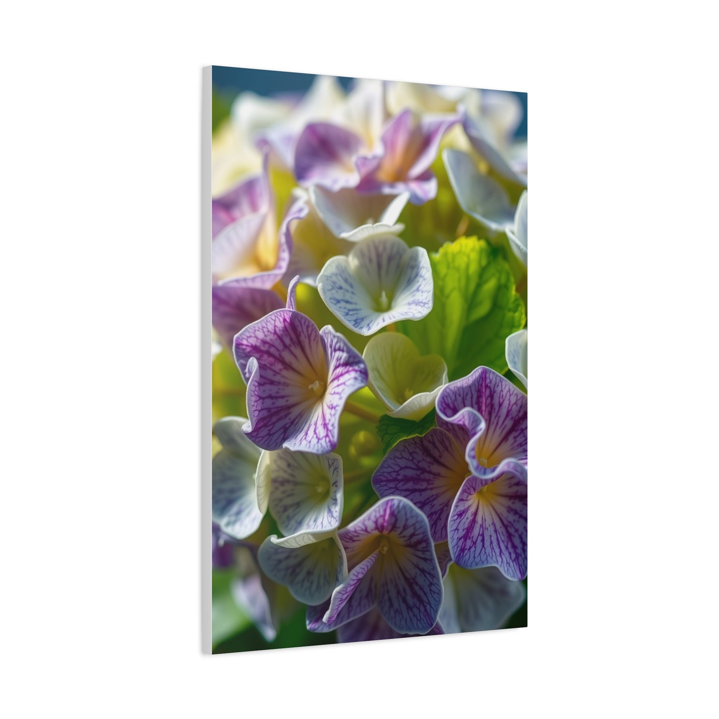 Hydrangea Flower Art Supreme Canvas Wall Art & Canvas Print