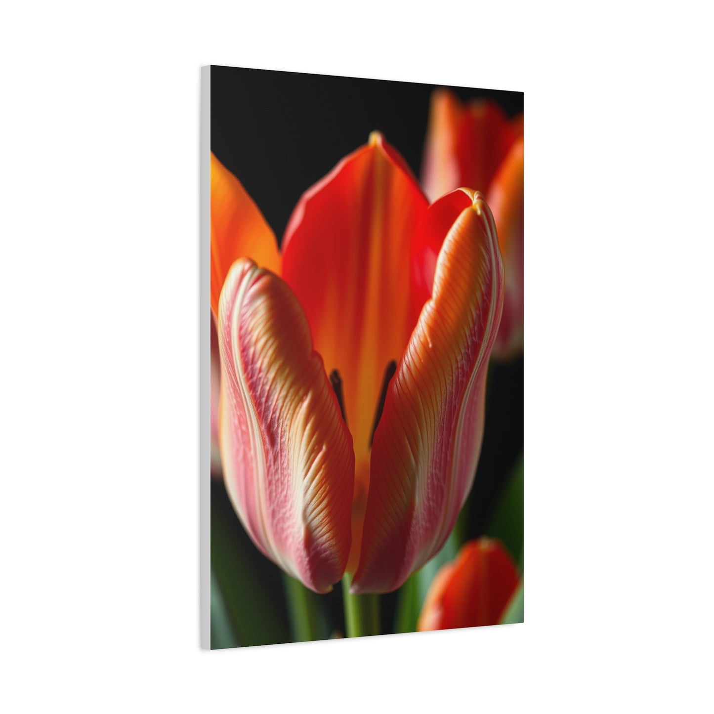 Vision Tulip Flower Art Art Wall Art & Canvas Print