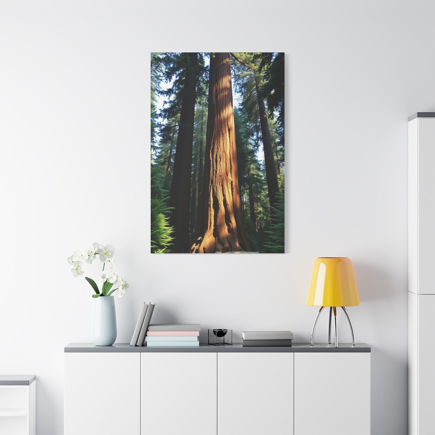 Supreme Redwood Tree Art Beautiful Collection Wall Art & Canvas Print