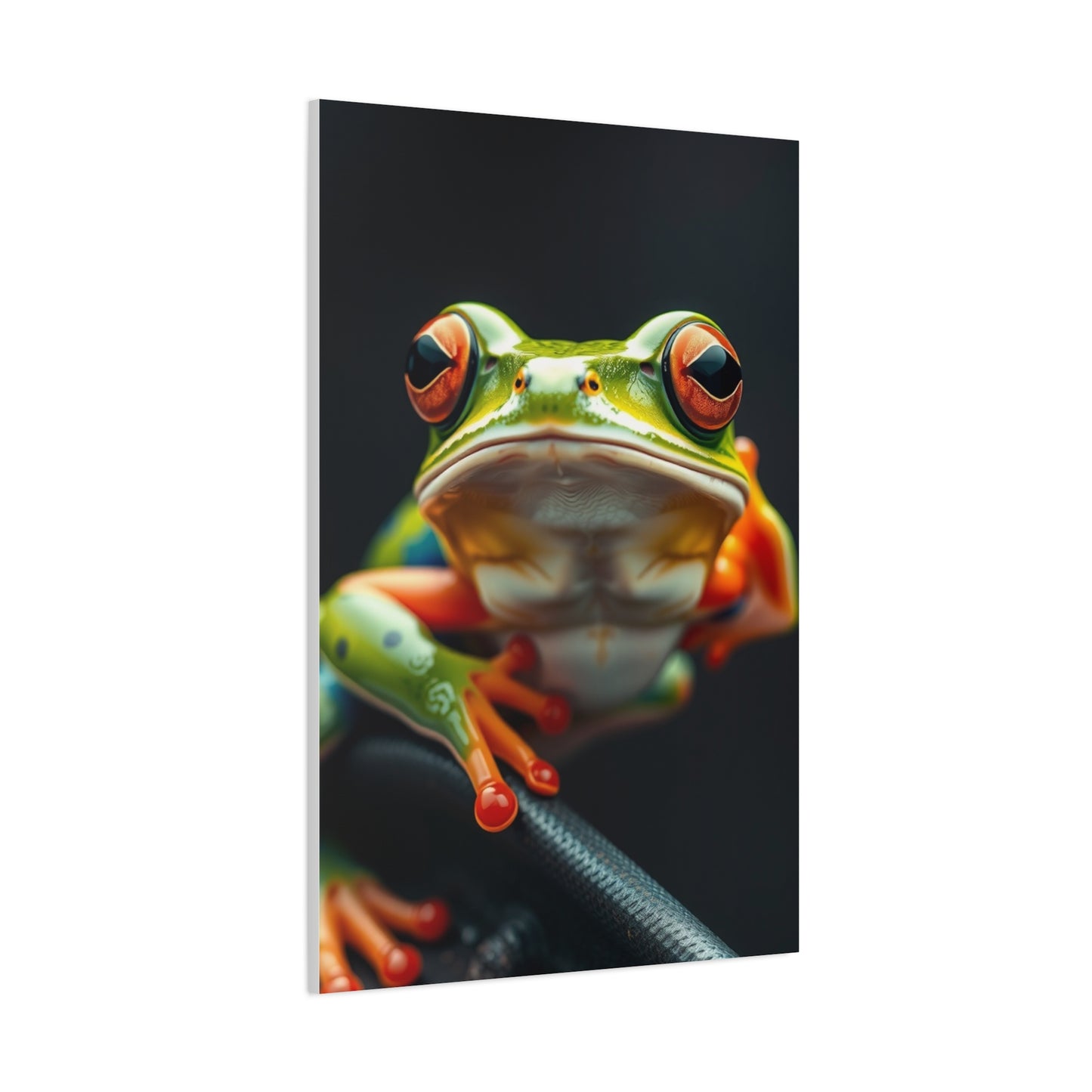 Vision Frog Art Art Wall Art & Canvas Print