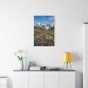 High Alpine Wildflower Meadow Wall Art & Canvas Print