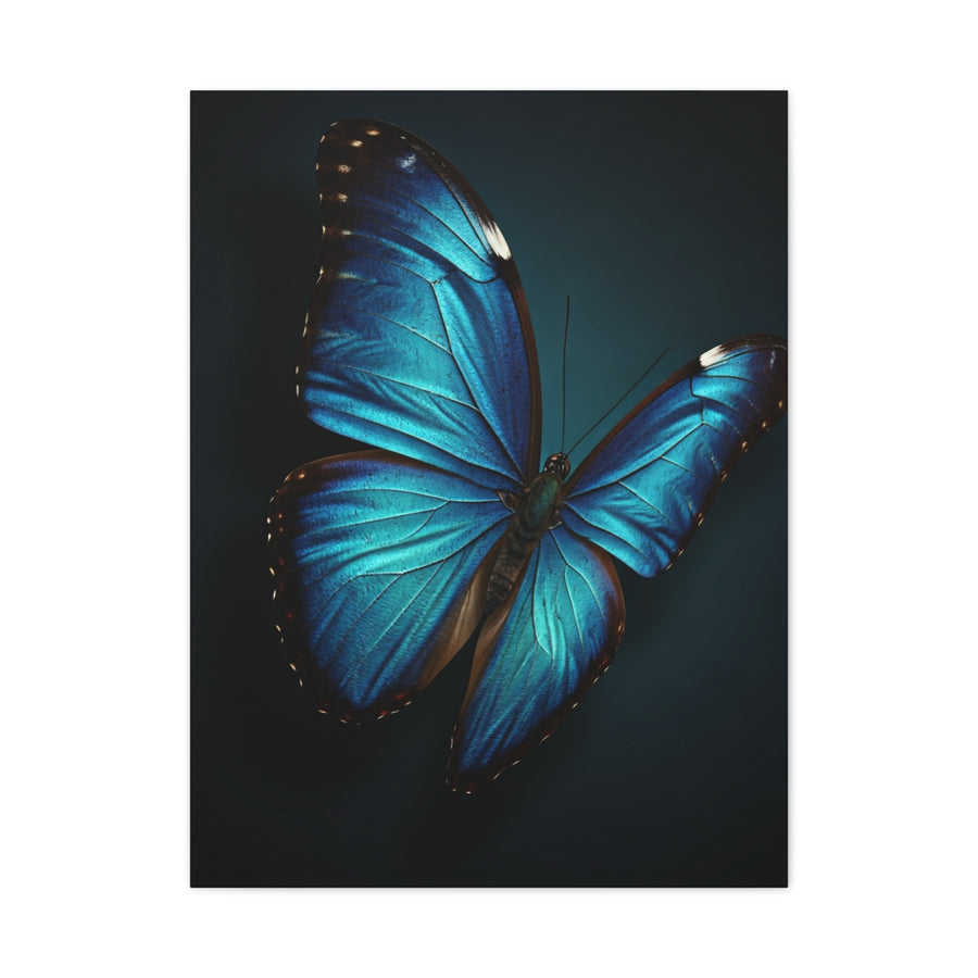 Blue Morpho Butterfly Wings Spread Wall Art & Canvas Prints