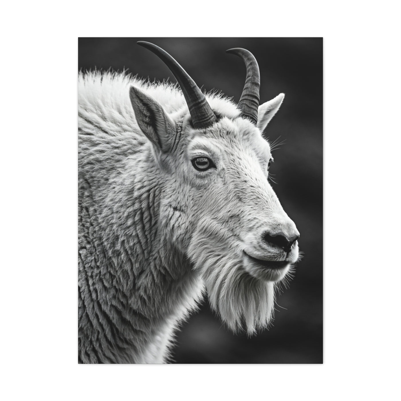 Alpine Goat Portrait Wall Art & Canvas Prints