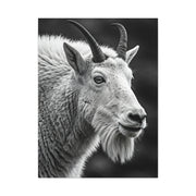 Alpine Goat Portrait Wall Art & Canvas Prints