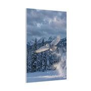 Snowy Owl Mountain Flight Wall Art & Canvas Print
