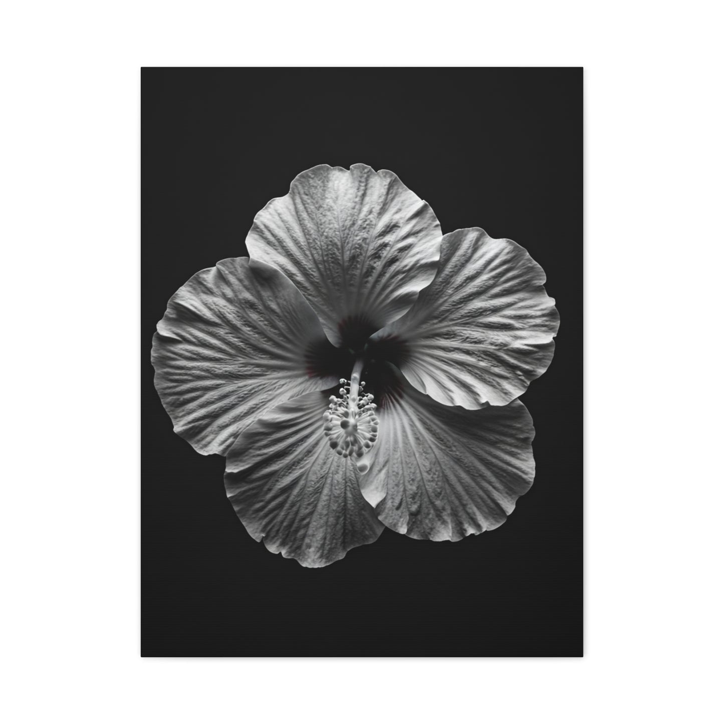 Monochrome Hibiscus Elegance Wall Art & Canvas Prints