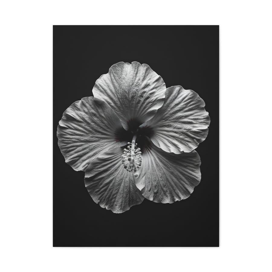 Hibiscus Flower Wall Art