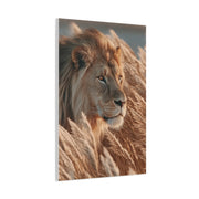Lion in Golden Grass Calm Watch Wall Art & Canvas Print