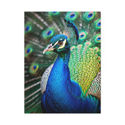 Vibrant Peacock Portrait Wall Art & Canvas Prints