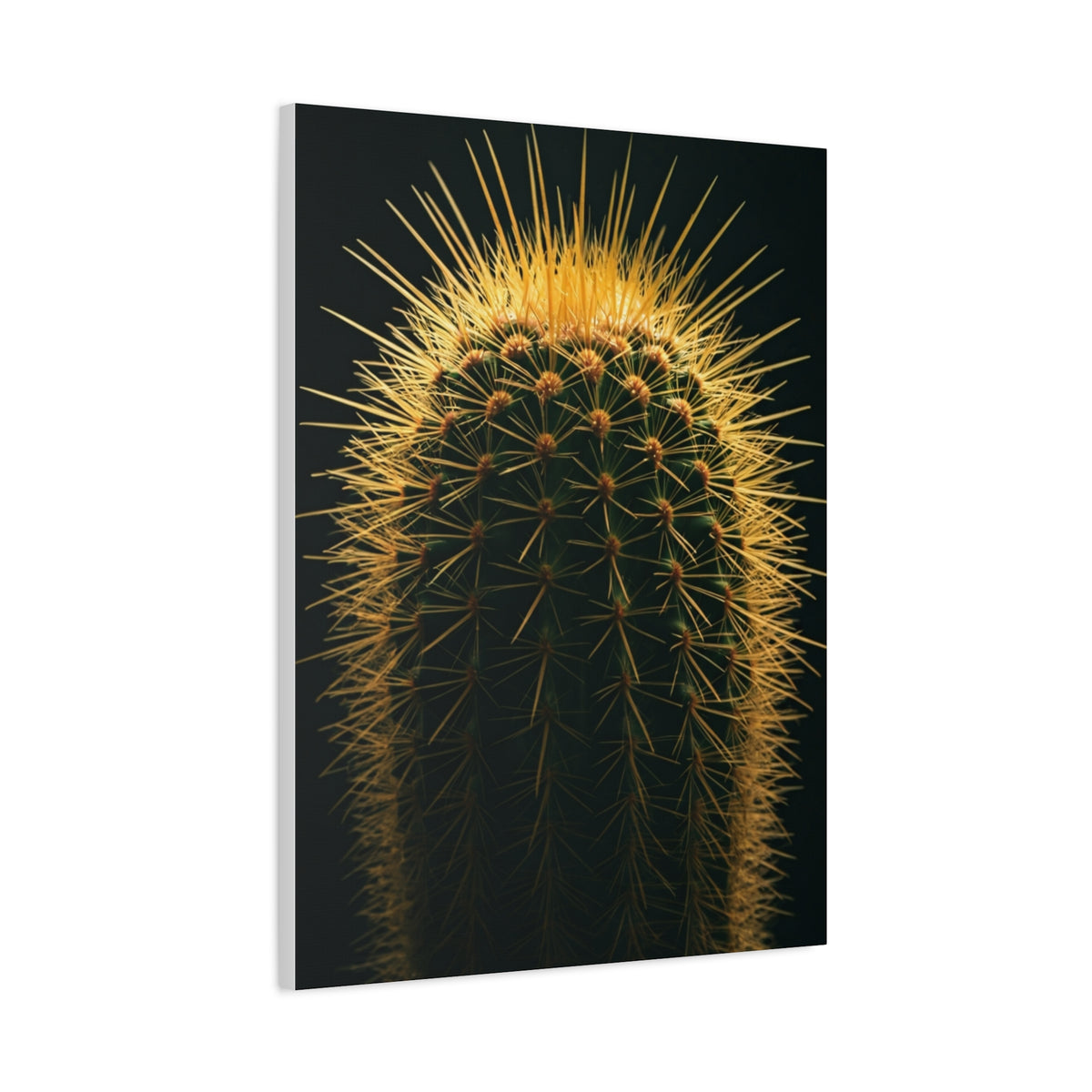 Golden Halo Cactus Sculpture Wall Art & Canvas Prints