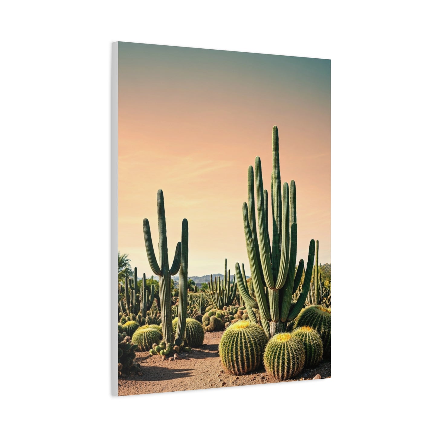 Sonoran Desert Cactus Garden Wall Art & Canvas Prints