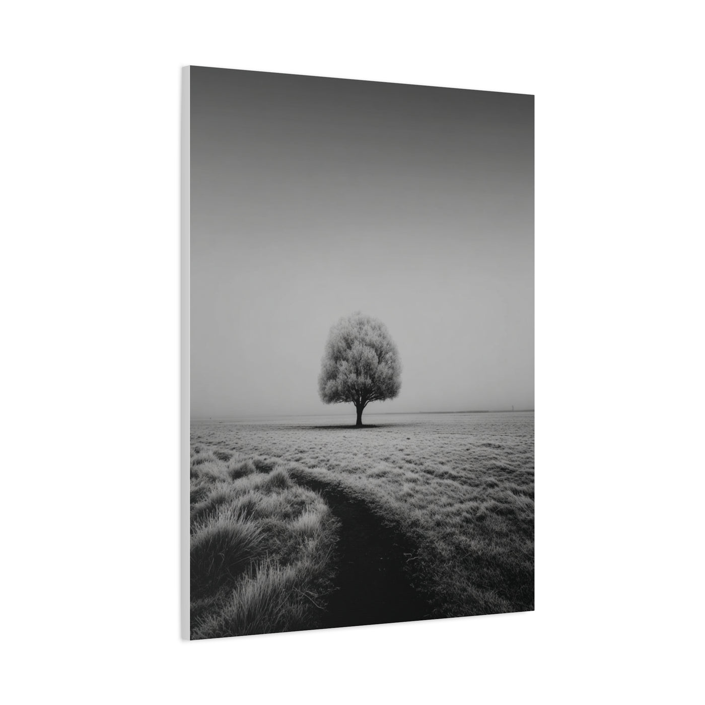 Lone Tree Winter Field Wall Art & Canvas Print