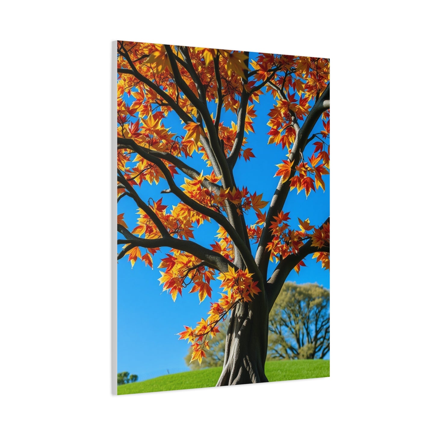 Supreme Maple Tree Art Collection Wall Art & Canvas Print