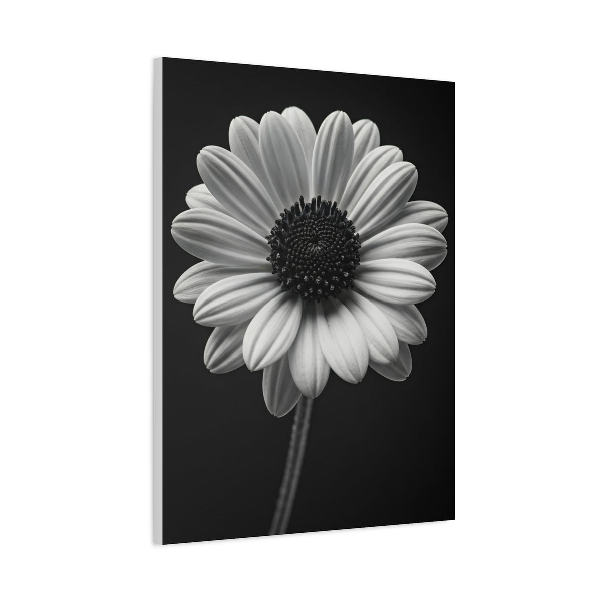 Bold Daisy Contrast Portrait Wall Art & Canvas Prints