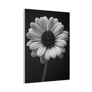 Bold Daisy Contrast Portrait Wall Art & Canvas Prints
