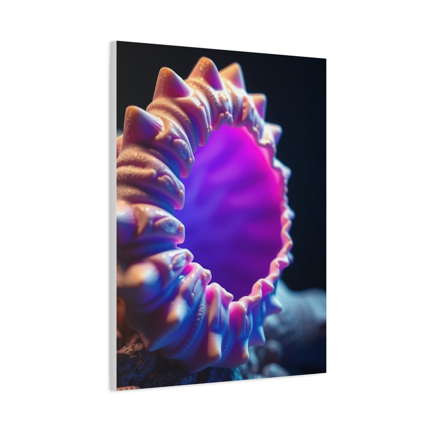 Supreme Sea Shell Art Beautiful Collection Wall Art & Canvas Print