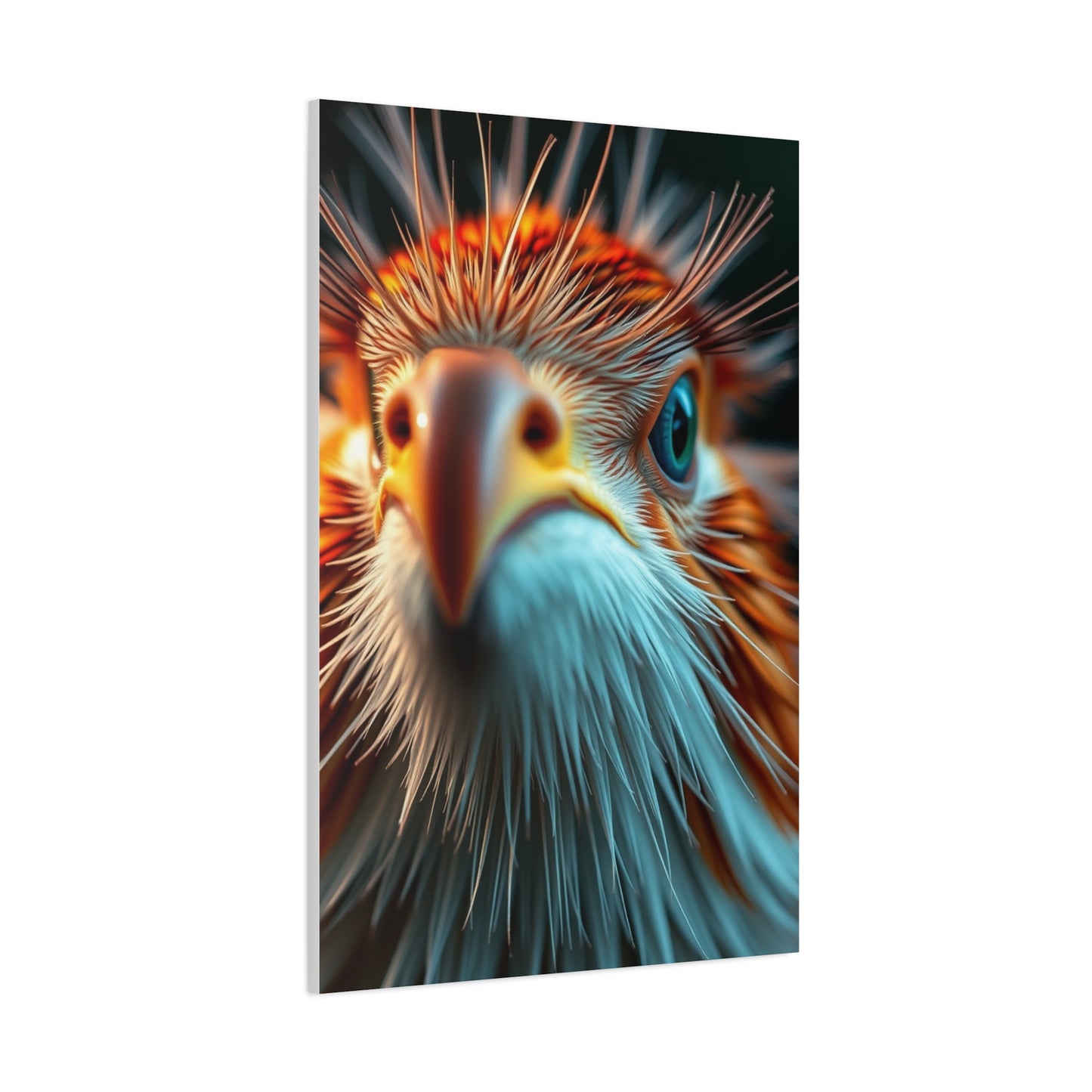 Supreme Nature Closeups Art Beautiful Collection Wall Art & Canvas Print