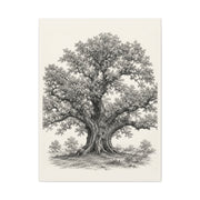 Detailed Engraved Oak Study Trees Wall Art & Canvas Print