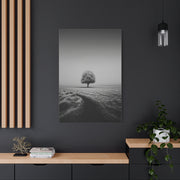 Lone Tree Winter Field Wall Art & Canvas Print