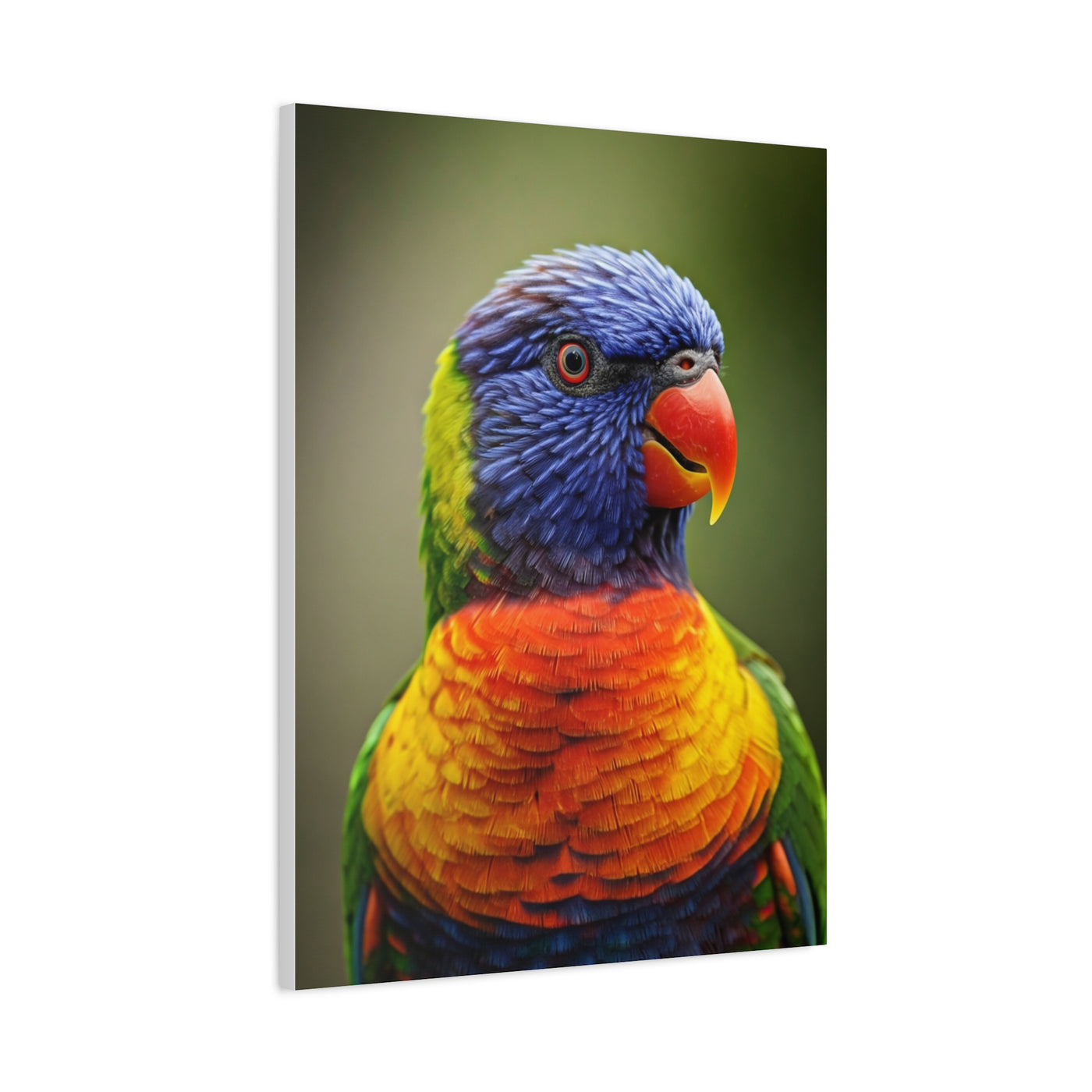 Vibrant Rainbow Lorikeet Wall Art & Canvas Prints
