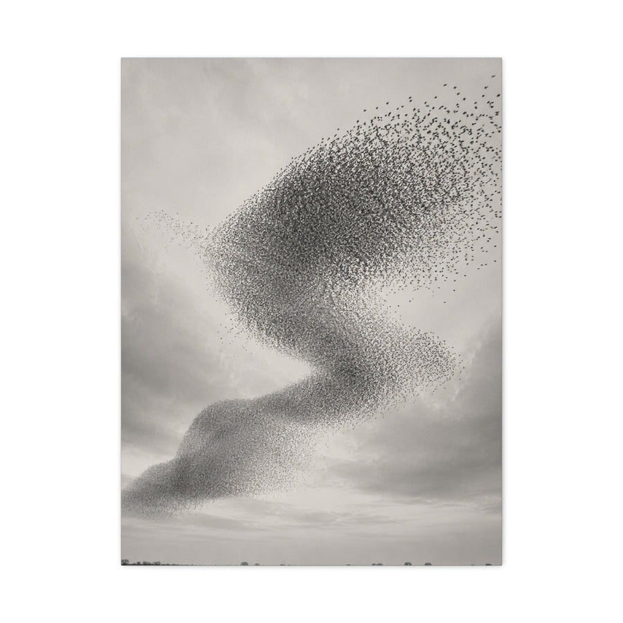 Murmuration Love Formation Monochrome Wall Art & Canvas Print