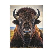Symmetrical Prairie Bison Frontal Portrait Wall Art & Canvas Print